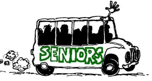 Seniors Bus Icon